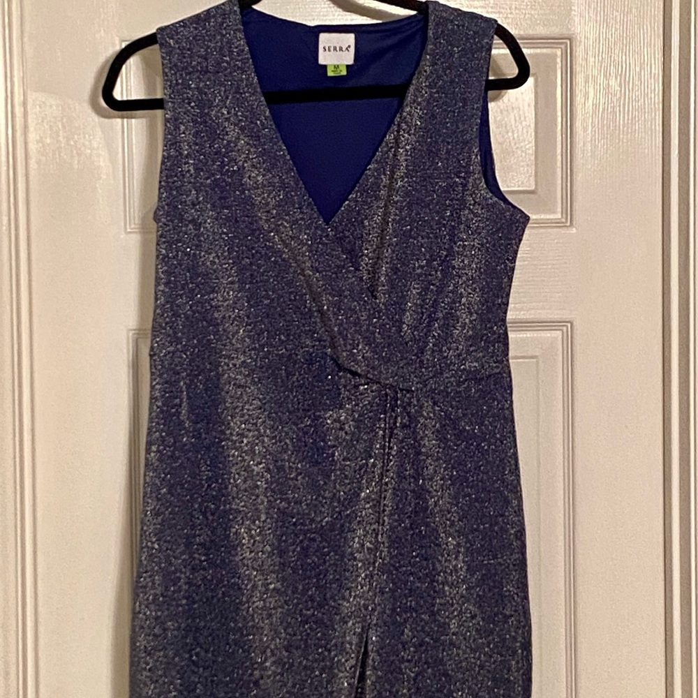 Aldi Serra navy blue sparkly dress